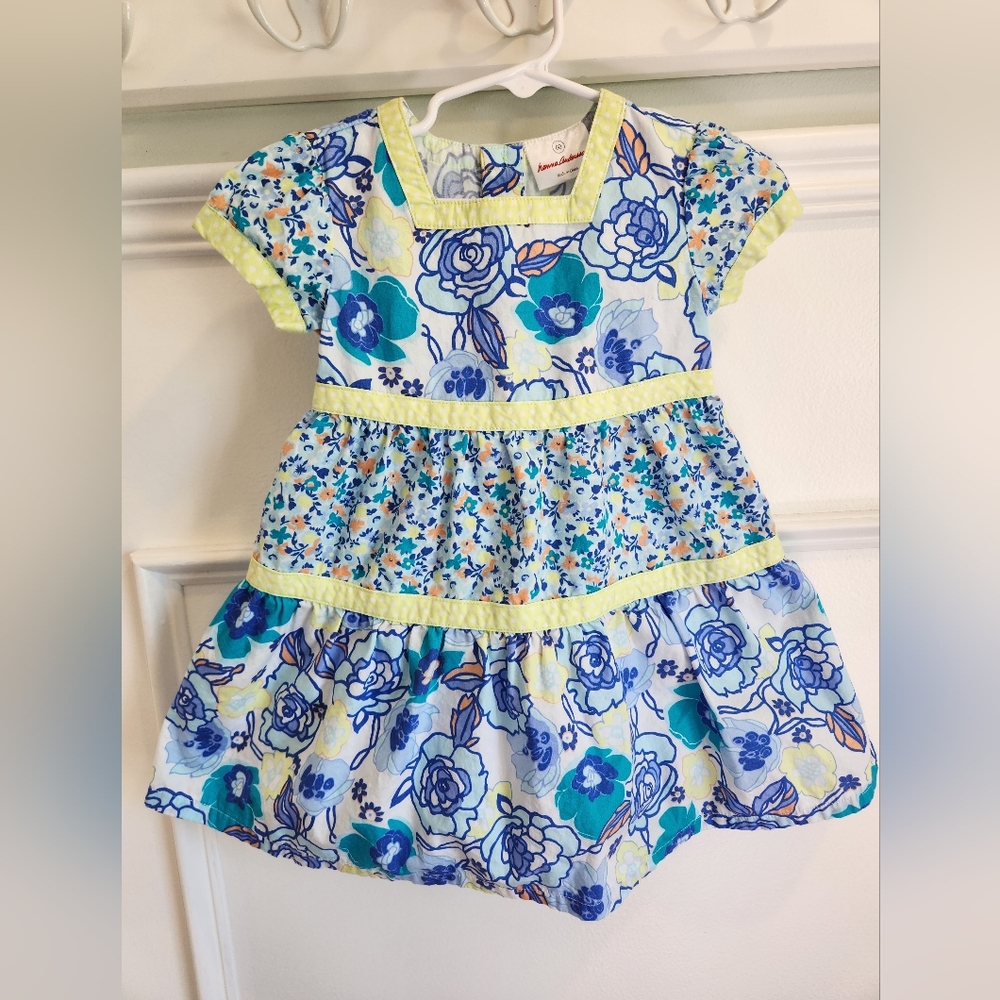Hanna Andersson Blue and Yellow Floral Kids Dress